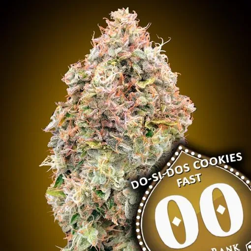 Do-Si-Dos Cookies FAST Feminised Seeds