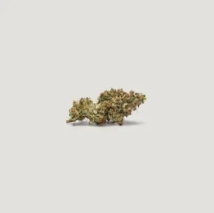 Key Lime Tart Feminized Seeds