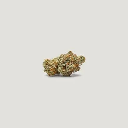 NorCal Sour Z Feminized Seeds