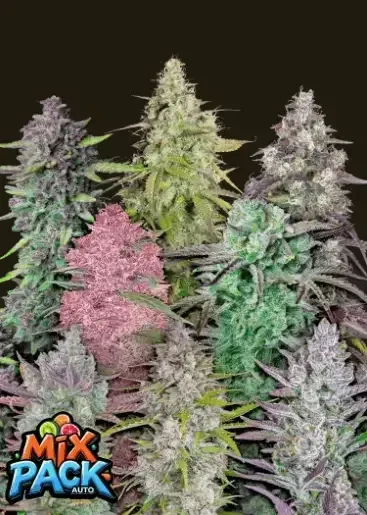 Fast Buds Mix Pack Auto RF3 Feminized Seeds