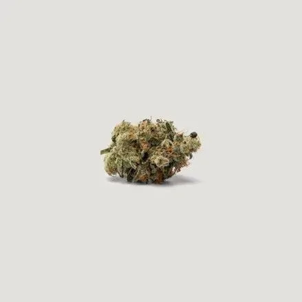 Spidey Sauce Feminized Seeds