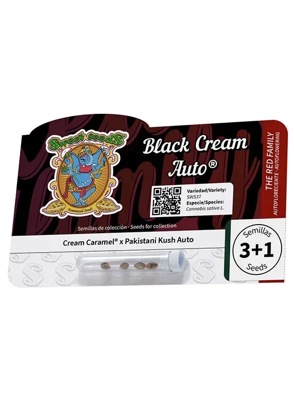 Black Cream Auto Feminised Seeds